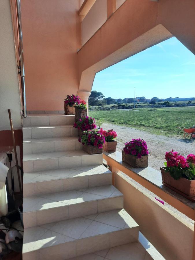 Appartement Penzion U Kapitana à Vir Extérieur photo
